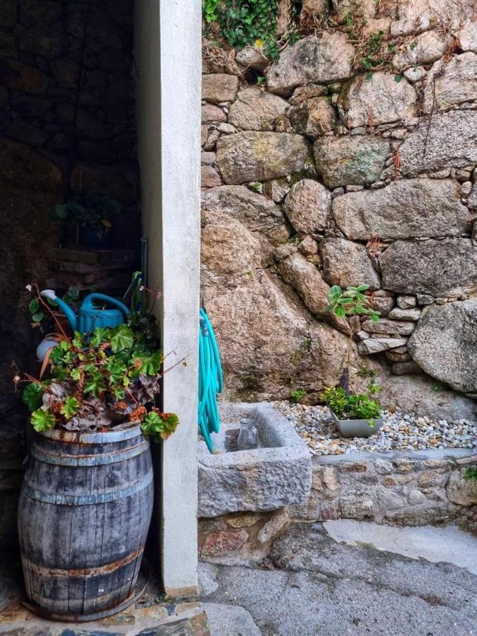 Alojamiento Casa Carlota Villadesuso Luaran gambar